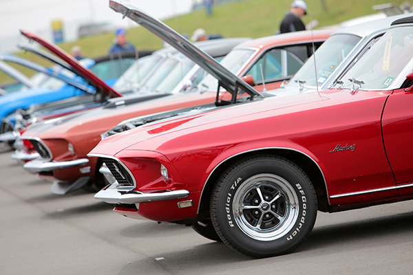 Ford Mustang les 50 ans