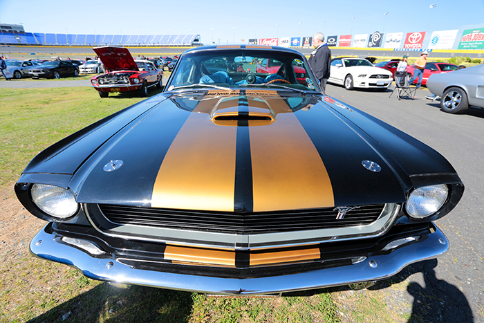 50 ans de la Mustang